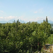 Picture 010